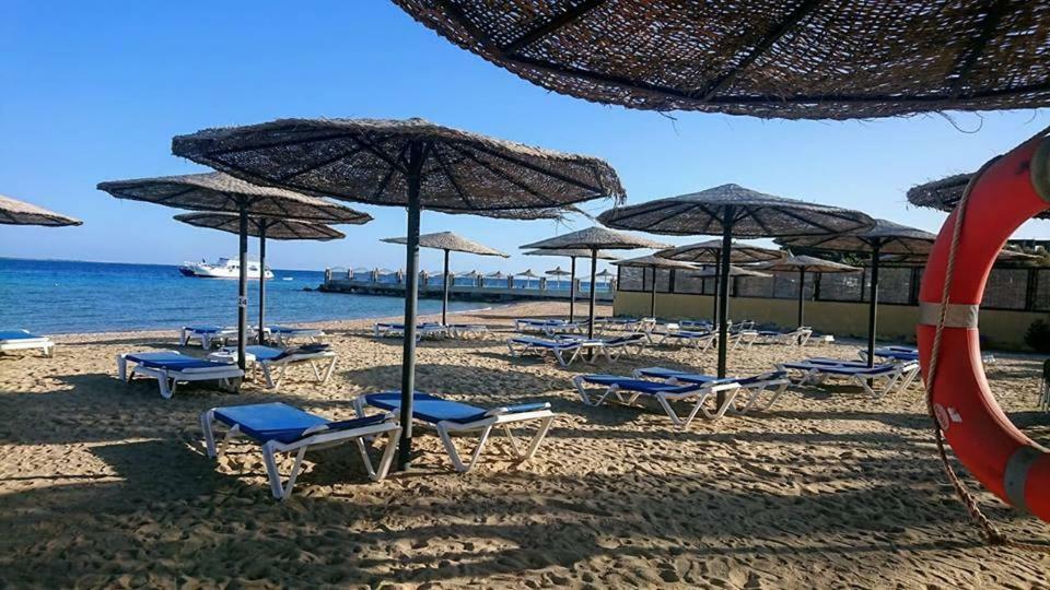 Exoticky Apartman Hurgada Dış mekan fotoğraf